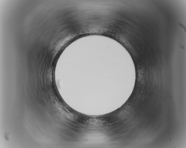 X0000099550632200806131213