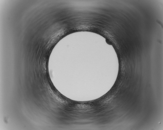 X0000099550633200806131213