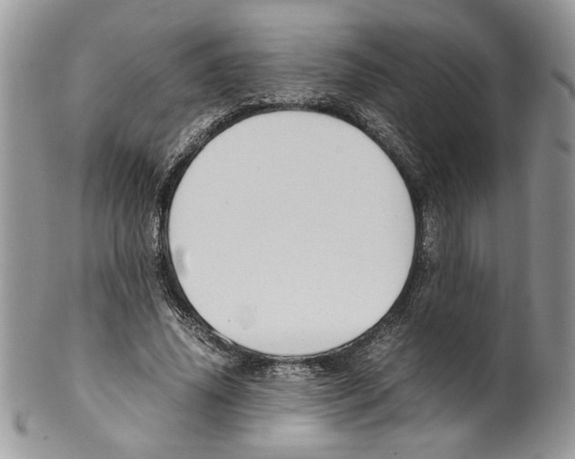 X0000099550636200806131213