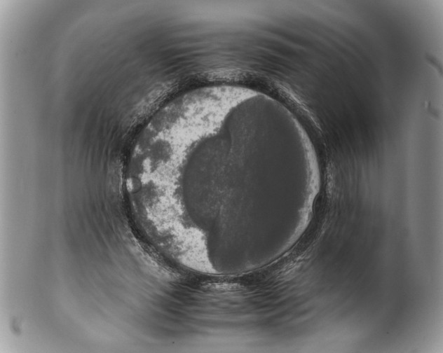 X0000099550637200806131213