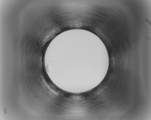 X0000099550638200806131213