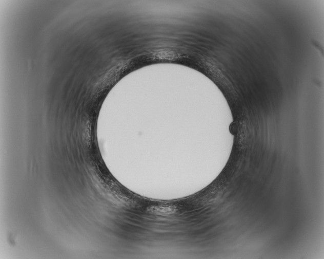 X0000099550639200806131213