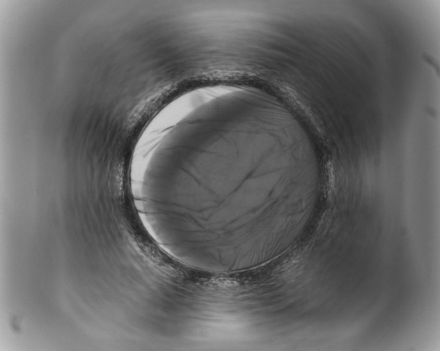 X0000099550640200806131213