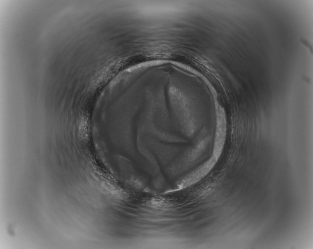 X0000099550641200806131213