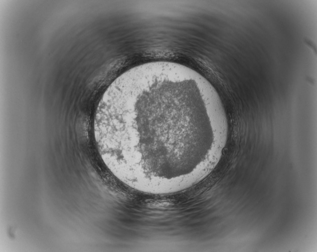 X0000099550643200806131213