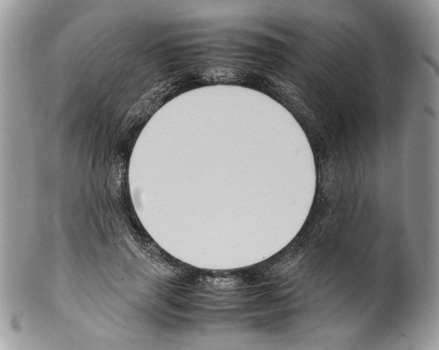 X0000099550645200806131213