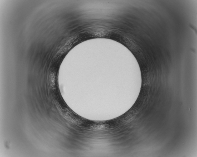 X0000099550646200806131213