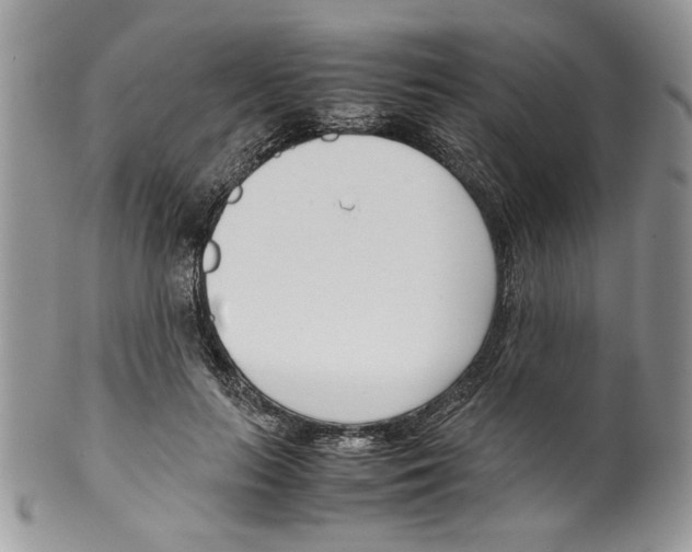 X0000099550647200806131213