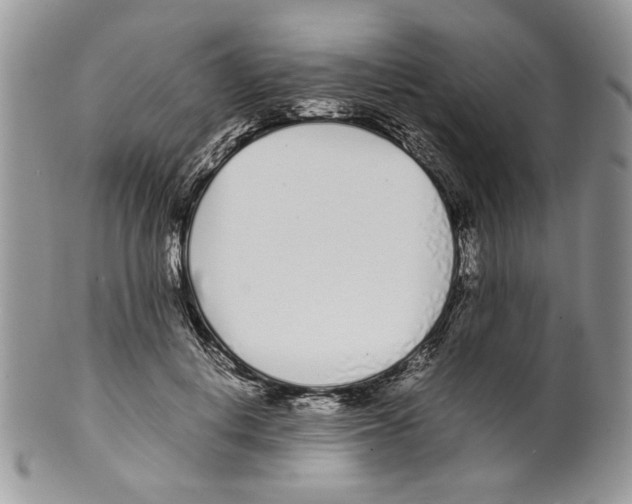 X0000099550648200806131213