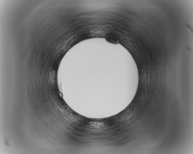 X0000099550649200806131213