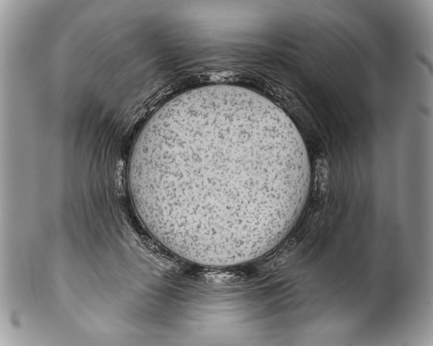 X0000099550650200806131213