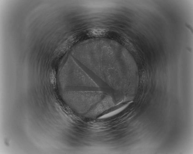 X0000099550651200806131213