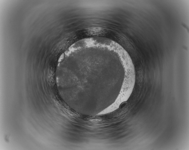 X0000099550653200806131213