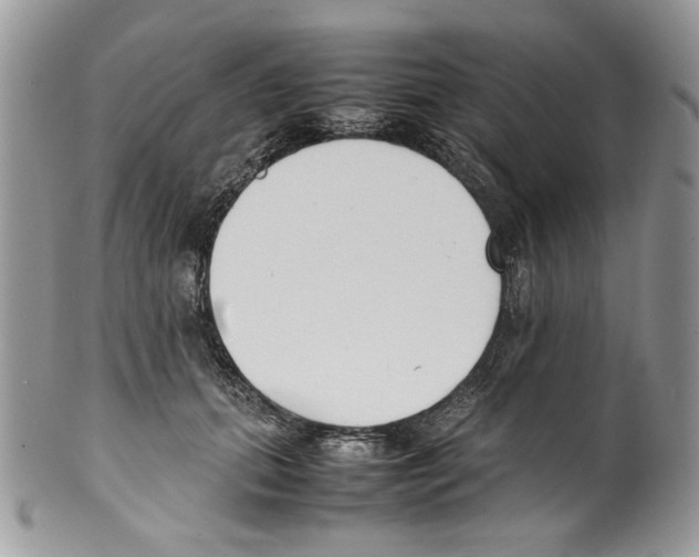 X0000099550655200806131213