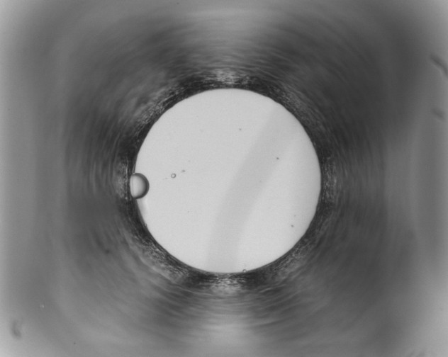 X0000099550656200806131213