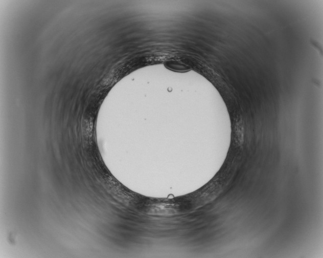 X0000099550657200806131213