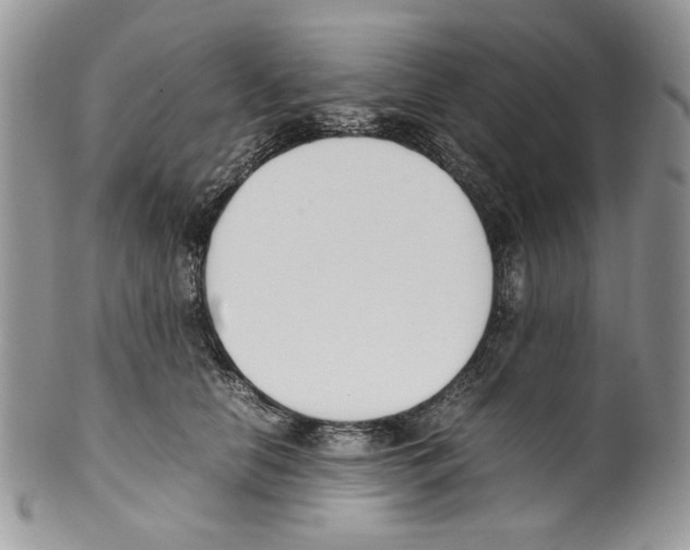 X0000099550658200806131213