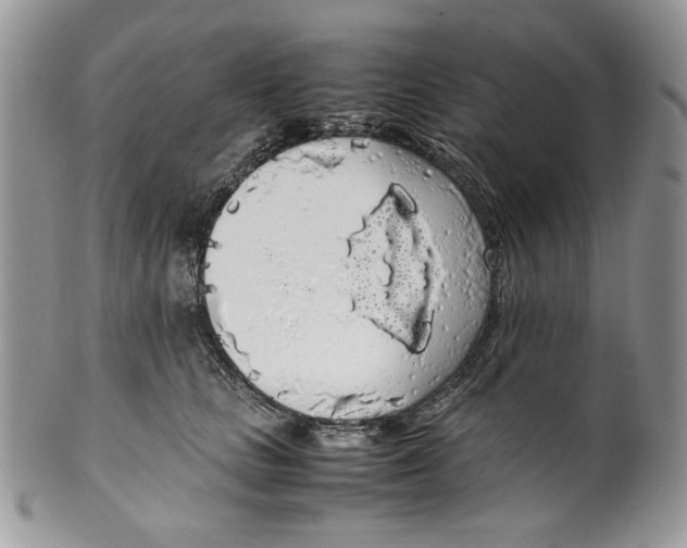 X0000099550661200806131213