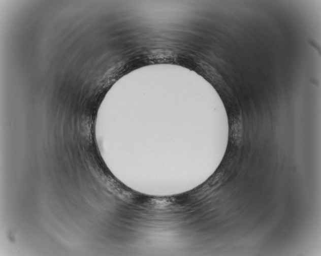 X0000099550662200806131213