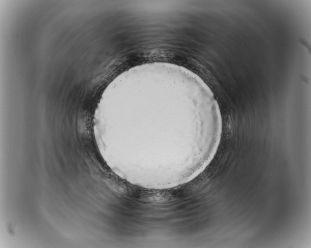 X0000099550663200806131213