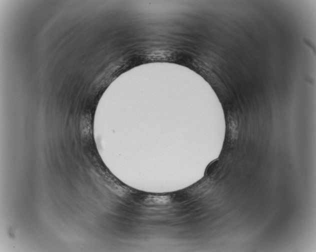 X0000099550665200806131213