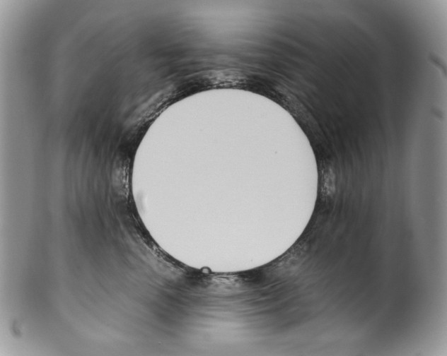 X0000099550666200806131213