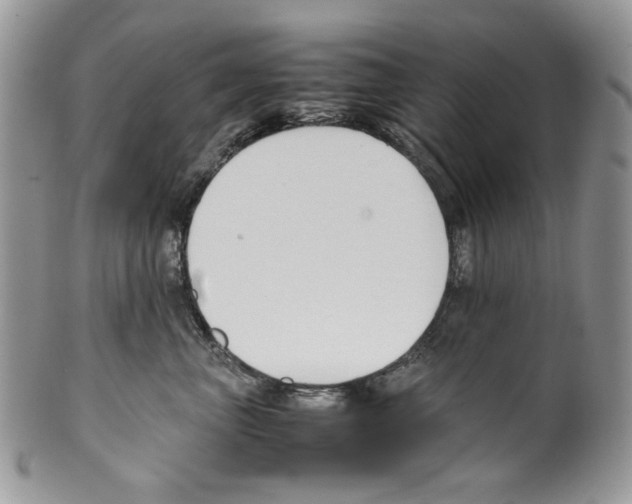 X0000099550667200806131213