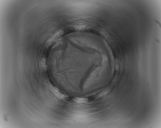 X0000099550670200806131213