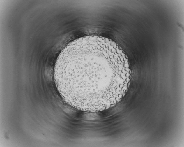 X0000099550671200806131213