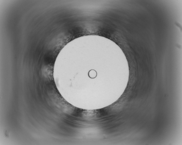 X0000099550672200806131213