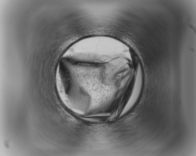 X0000099550673200806131213