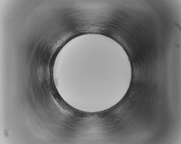 X0000099550674200806131213