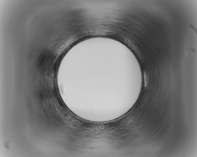 X0000099550675200806131213