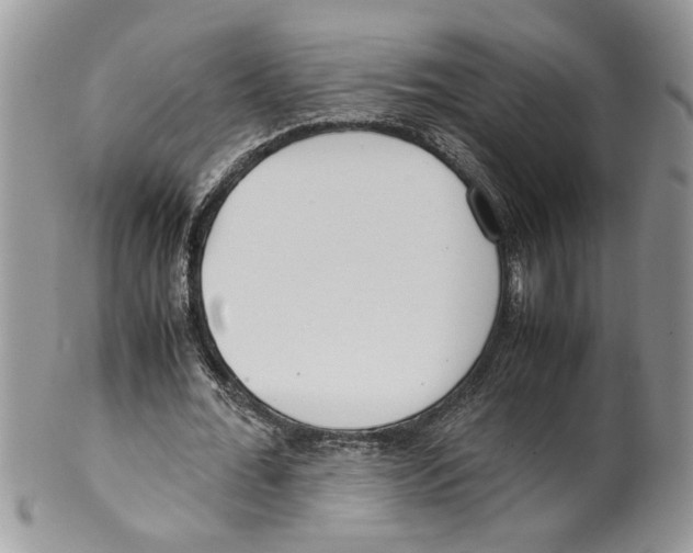 X0000099550676200806131213