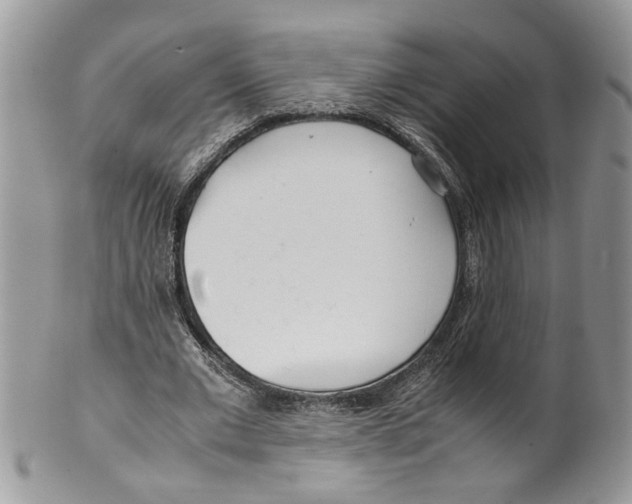 X0000099550677200806131213