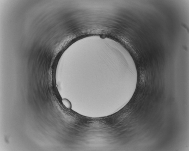 X0000099550678200806131213