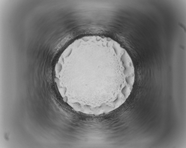 X0000099550679200806131213