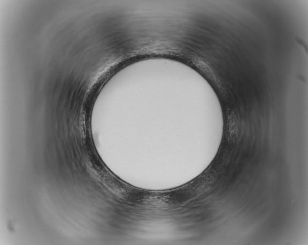 X0000099550680200806131212