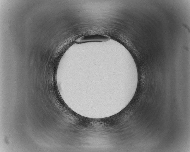 X0000099550681200806131212