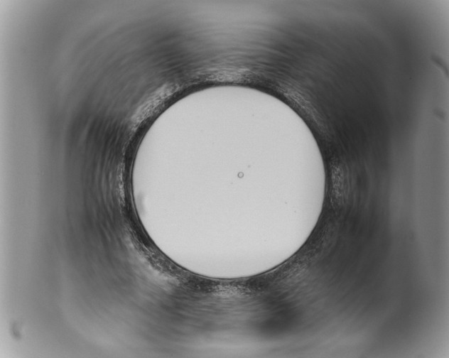 X0000099550682200806131212