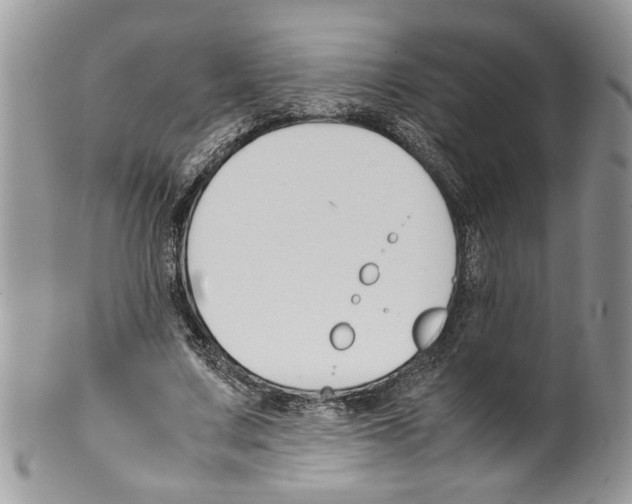 X0000099550683200806131212