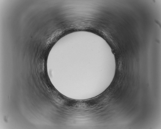 X0000099550685200806131212