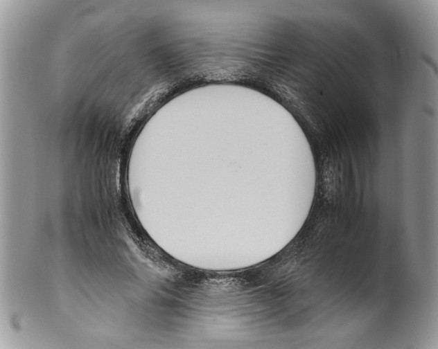 X0000099550686200806131212