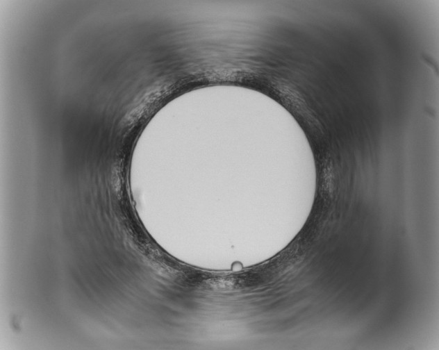 X0000099550687200806131212