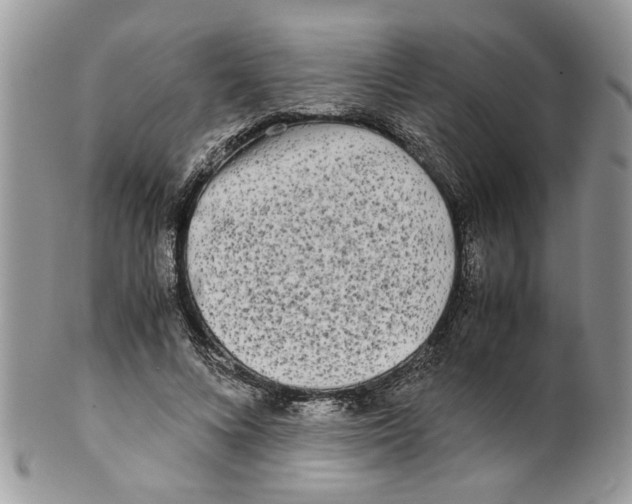 X0000099550688200806131212