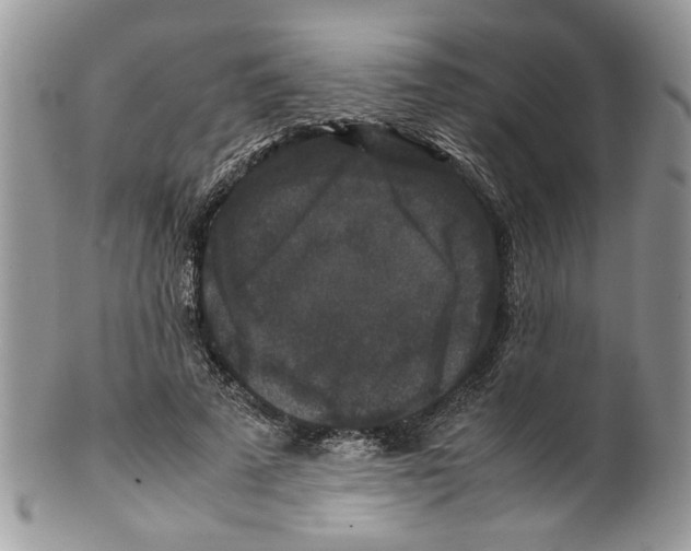 X0000099550689200806131212