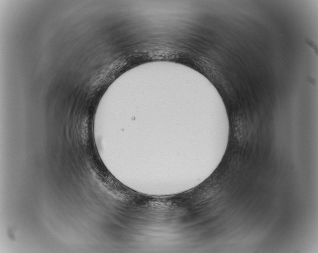 X0000099550690200806131212