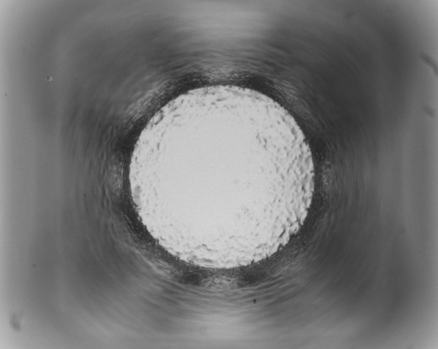 X0000099550691200806131212