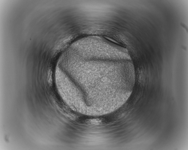 X0000099550692200806131212