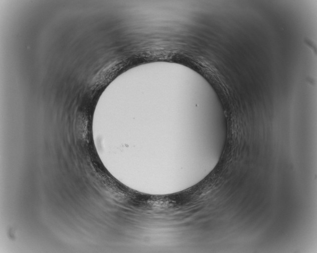 X0000099550693200806131212